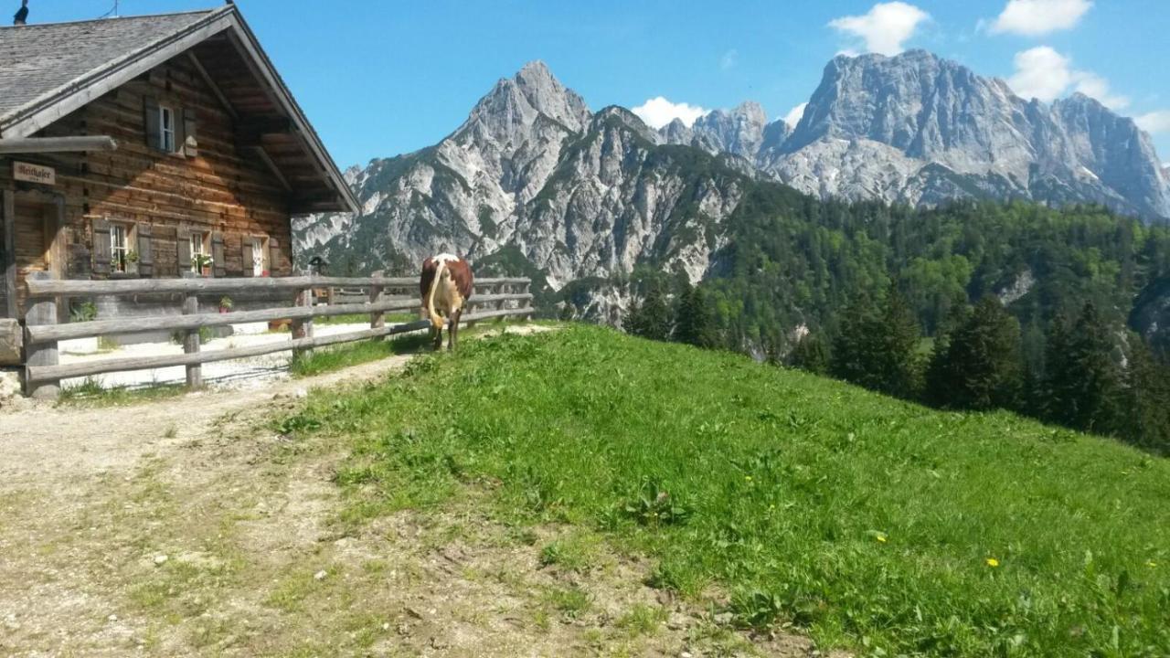 Ferienwohnungen Gaestehaus Laercheck 베르히테스가덴 외부 사진